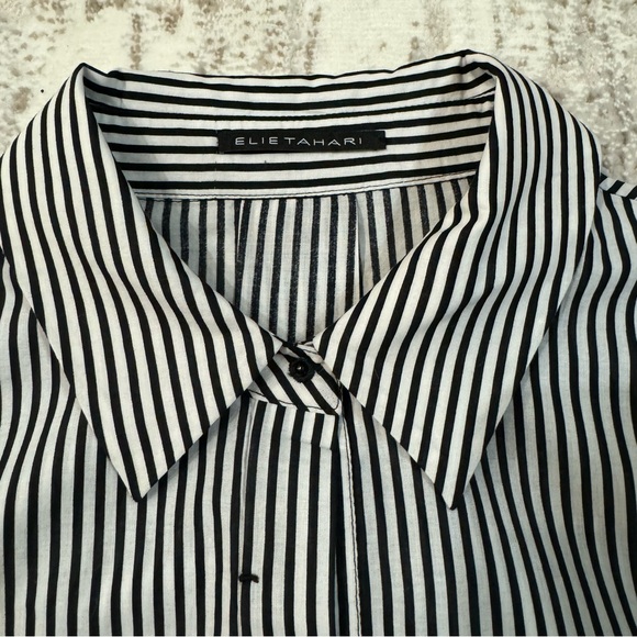 Elie Tahari Embroidered Striped Button-Down - Picture 6 of 6